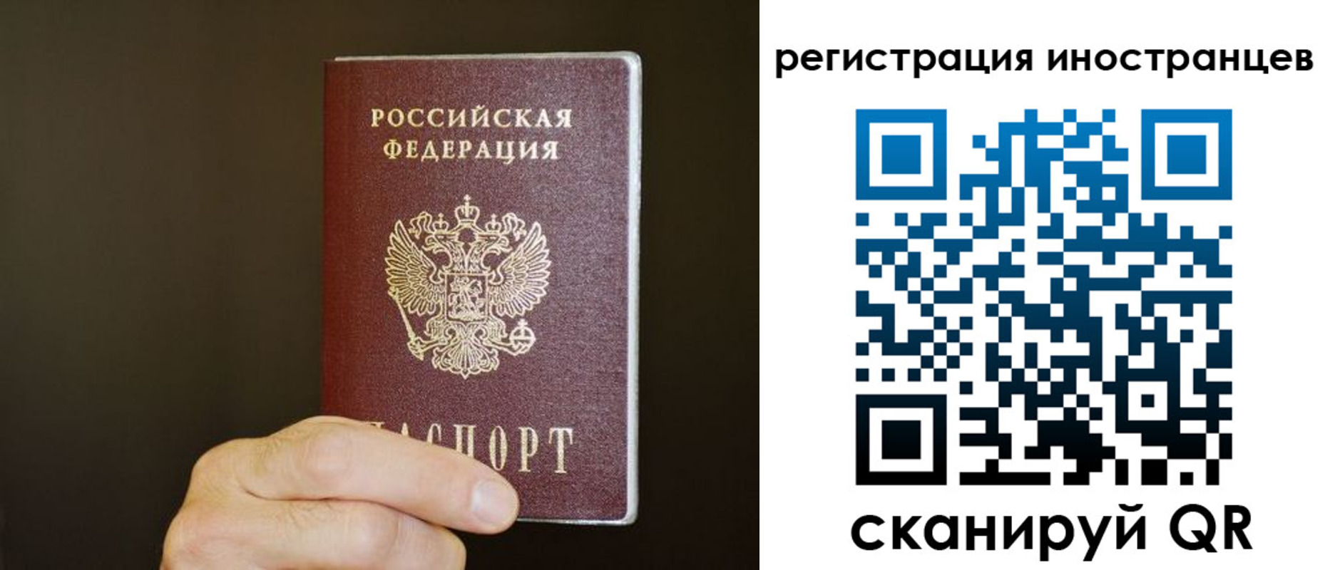 прописка в Кувшиново